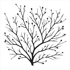 a naked tree branches vector silhouette black color illustration