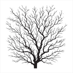 a naked tree branches vector silhouette black color illustration