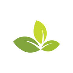 Green leaf illustration