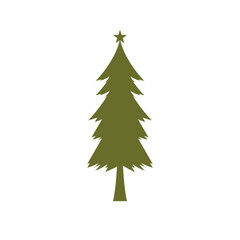 Pine tree illustration