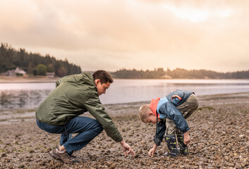 parent and child father son exploring nature looking for shells on the beach, parenting and...
