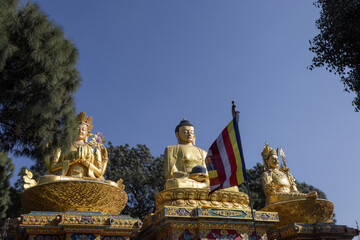 The Golden Buddha Statues in Buddha park, Swayambhunath area, Kathmandu, Nepal, the World Heritage Site declared by UNESCO