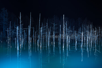 色金青い池 ライトアップ 北海道 美瑛町