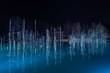 色金青い池 ライトアップ 北海道 美瑛町