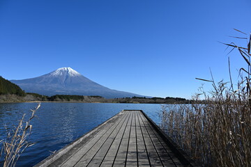 静岡県の朝霧高原にある田貫湖の桟橋と富士山の眺め