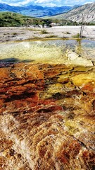 Mammoth Hot Springs in Yellowstone National Park, Wyoming Montana. Great hiking. Summer wonderland to watch wildlife and natural landscape. Geothermal.