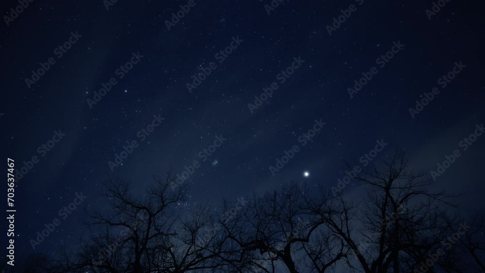 Wall mural night timelapse of the starry sky with moving clouds and leafless trees in the foreground.