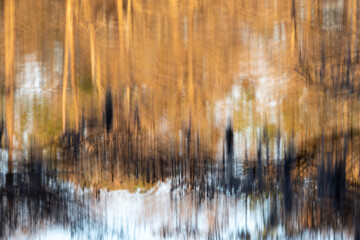 Naklejka premium ABSTRACT BACKGROUND REFLECTION COLOR TREES IN LAKE