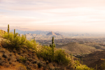 Mountain top Saguaro cactus with view of mountains in the background at golden hour landscape image