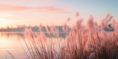 Wispy tall grasses sway gently by a serene lake, set against a backdrop of a soft pink sunrise - obrazy, fototapety, plakaty
