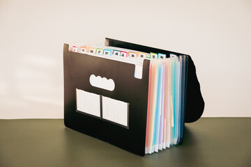 12-Month Accordion File Organizer, Monthly Document Filing System with Color-Coded Tabs for Home...