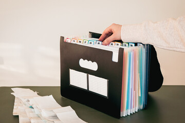 Woman Organizing Documents in a 12-Month Accordion File Organizer, Monthly Filing System with...