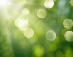 Obraz premium フレーム 夏 木 森 緑 葉 コピースペース 背景 AI生成画像