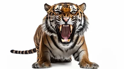 Foto op Canvas Aggressive, baring fangs, tiger isolated on a white background isolated on white background,. Created using Generative AI Technology © LofiAnimations