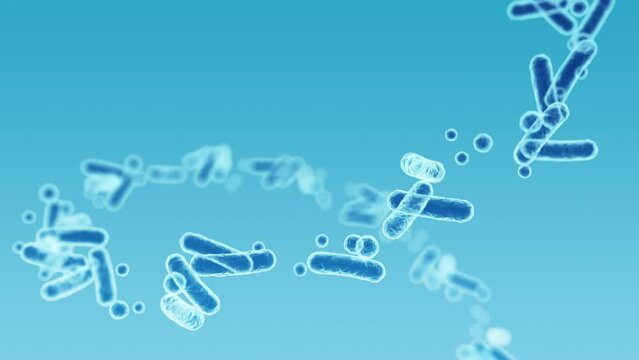 Enterobacteriaceae, gram-negative rod-shaped bacteria, part of intestinal microbiome and causative agents of different infections, 3D rendering. Escherichia coli, Klebsiella, Enterobacter and other