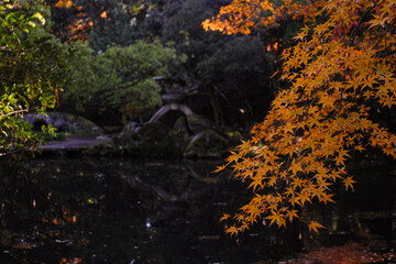 image20230007