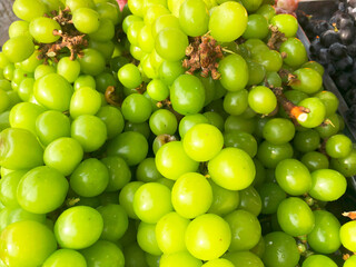 bunch of grapes