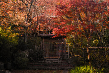 image20230026