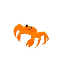 crab isolated on white background