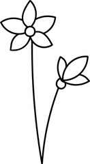 Botanical Floral Hand Drawn Line Art