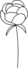 Botanical Floral Hand Drawn Line Art