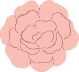 Nature Floral Tree Travel Illustration