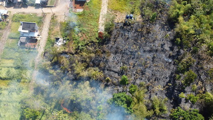 after burn in the forest