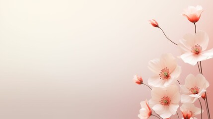 Dracunculus flowers on the soft pink solid background. Card, poster or banner with copy space