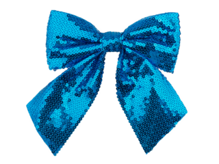 decoration for a gift, Christmas tree decorative bow with sequins, isolated on a white background