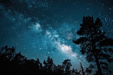 Fototapeta na wymiar Glimmering Stars in a Clear Night Sky