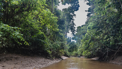 The river channel winds through a tropical rain forest. A boat with tourists is floating in the...