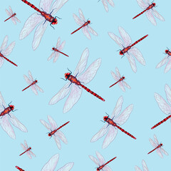 Seamless dragonfly patterns with sky blue background