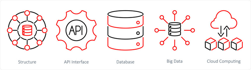 A set of 5 data analytics icons as structure, api interface, database