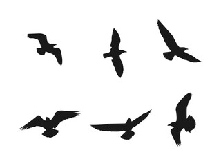 flying seagull silhouettes set. A flock of flying birds. Flight bird silhouettes, isolated black doves or seagulls collection. Freedom metaphor. Flying birds silhouettes on white background.