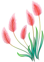 pink flower bunny tail grass isolated element 