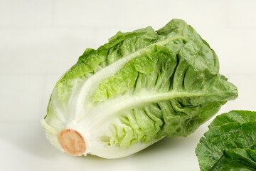 Fresh green Romaine Lettuce (Lactuca sativa), isolated on the white background