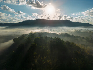 Aerial view of flowing fog waves on mountain tropical rainforest.Top view.
