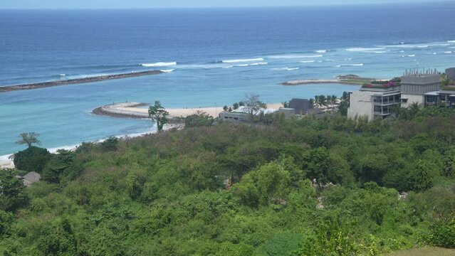 view of the beach and jungle