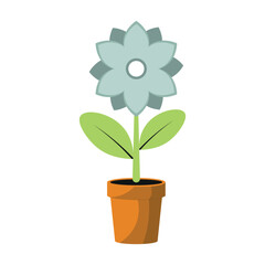 Flowers and Pots