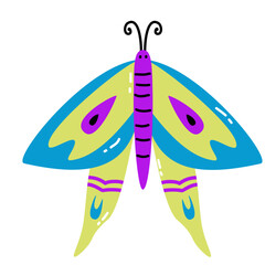 Colorful Butterfly Vector 5
