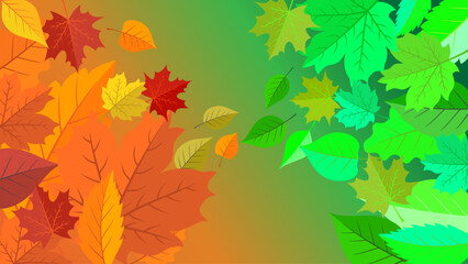 Spring to autumn transition wallpaper with colorful foliage