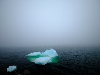 A small broken chunk of iceberg floats near the rocky shoreline of Newfoundland in Fog and Mist