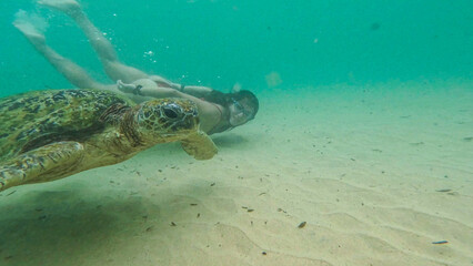 Obraz premium young woman with wild turtle in Sri Lanka