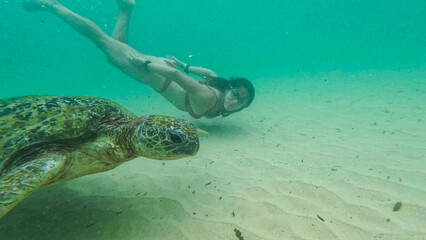 Obraz premium young woman with wild turtle in Sri Lanka