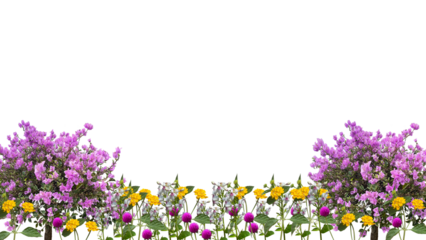 flowers bottom background