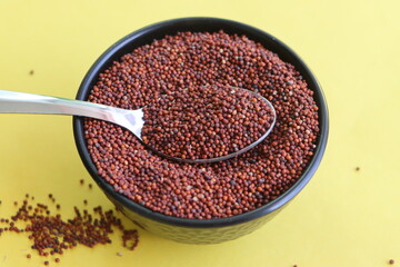 finger millet, kodo millet, ragi, nachani, italian millet, an extremely nutritious millet