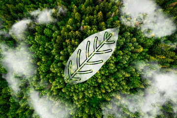 Concept depicting the issue of carbon dioxide emissions and methane on leaves icon, its causing...