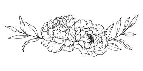 Peony Line Drawing. Black and white Floral Bouquets. Flower Coloring Page. Floral Line Art. Fine Line Peony illustration. Hand Drawn flowers. Botanical Coloring. Wedding invitation flowers © Xenia
