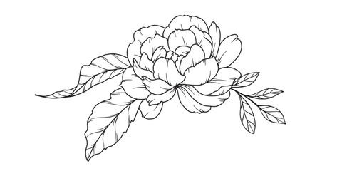 Peony Line Drawing. Black and white Floral Bouquets. Flower Coloring Page. Floral Line Art. Fine Line Peony illustration. Hand Drawn flowers. Botanical Coloring. Wedding invitation flowers © Xenia