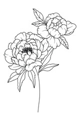 Peony Line Drawing. Black and white Floral Bouquets. Flower Coloring Page. Floral Line Art. Fine Line Peony illustration. Hand Drawn flowers. Botanical Coloring. Wedding invitation flowers